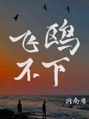 飞鸥不下百度云